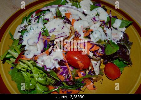 Pute-, Preiselbeere- und Walnusssalat mit Dressing im Ranchstil Stockfoto