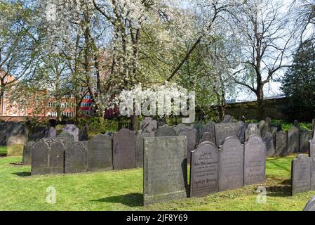 Grabsteine auf dem Kirchhof der St. Mary de Castro Kirche in Leicester, Großbritannien Stockfoto