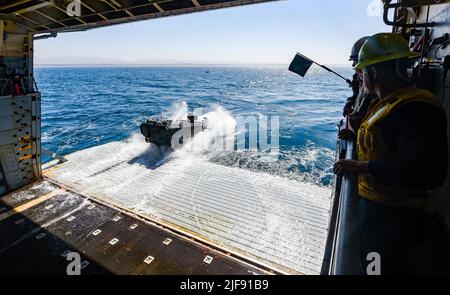 PAZIFISCHER OZEAN (23. Juni 2022) ein amphibisches Kampffahrzeug, das an das 3D Assault Amphibian Bataillon, 1. Marine Division, angeschlossen ist, landet während des Wassertrainings im Pazifischen Ozean am 23. Juni 2022 am Brunnendeck des amphibischen Transportschiffes USS John P. Murtha (LPD 26). John P. Murtha führt derzeit Routineoperationen in der US 3.-Flotte durch. (USA Navy Foto von Mass Communication Specialist 2. Class Curtis D. Spencer) Stockfoto