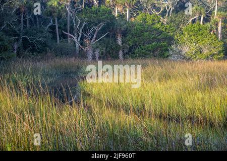 Marsh Grass und Gezeitenwasser auf Fort George Island in Jacksonville, Florida. (USA) Stockfoto
