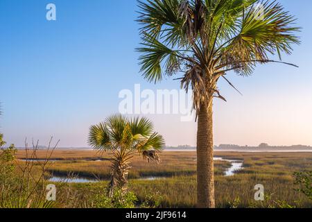 Blick auf die Salzsumpflandschaft von Florida von Fort George Island in Richtung Talbot Islands State Parks in Jacksonville, Florida. (USA) Stockfoto