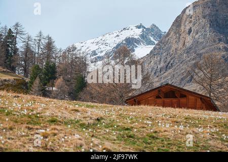Eine Landschaft aus der Wiese von der "Weide" von "das Dorf Furi", einem kleinen Dörfchen in Zermatt, das für seine Skigebiete, Loipen, Restaurants und Hängebrücken bekannt ist. Der Stockfoto