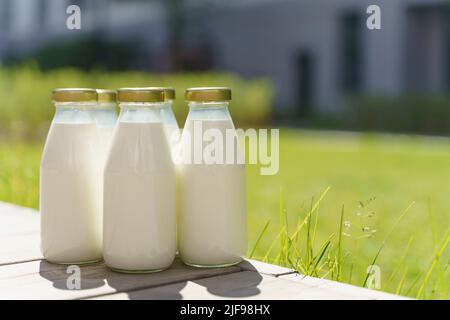 Eine Flasche frische Milch auf einer sonnigen Sommerwiese, Gras, Natur und Pflanzen. Modell, Öko-Lebensmittel, Milchprodukte Konzept. Hochwertige Fotos Stockfoto