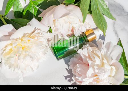 Kosmetische Serumflasche mit ätherischem Öl und Pfingstrosen auf weißem Marmorboden. Naturkosmetik, Hautpflegekonzept Stockfoto