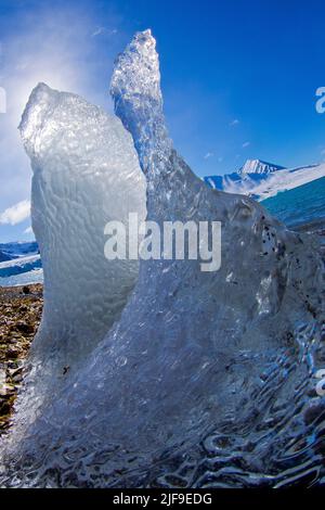 Gletschereis, Drift Floating Ice, 14. Juli Gletscher, Krossfjord, Arktis, Spitzbergen, Spitzbergen, Spitzbergen, Norwegen, Europa Stockfoto