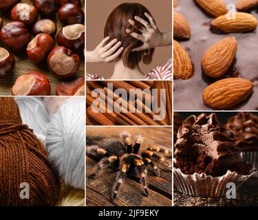 Collage von Fotos in braunen Farben Stockfoto