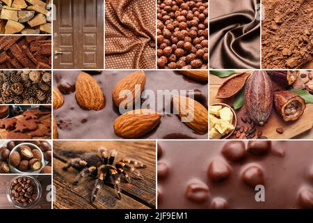 Collage von Fotos in braunen Farben Stockfoto