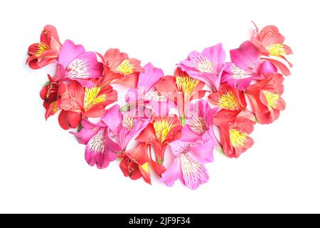 Komposition mit verschiedenen Alstroemeria-Blüten isoliert auf weißem Hintergrund Stockfoto