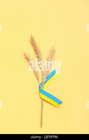 Weizenspikelets und Bänder in den Farben der ukrainischen Flagge auf gelbem Hintergrund Stockfoto