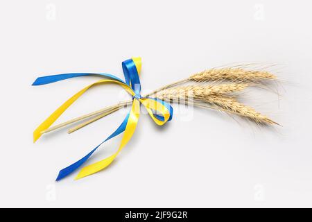 Weizenspikelets und Bänder in den Farben der ukrainischen Flagge auf hellem Hintergrund Stockfoto