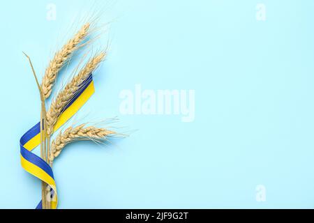 Weizenspikelets und Bänder in den Farben der ukrainischen Flagge auf blauem Hintergrund Stockfoto