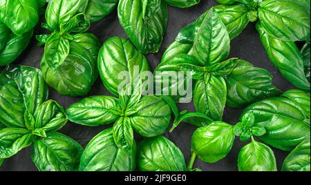 Frische, saftige Basilikumblätter auf schwarzem Hintergrund. Draufsicht, horizontal. Stockfoto