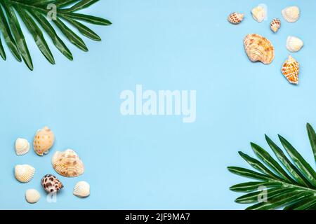 Muschelrahmen, Palmenblätter auf blauem Hintergrund Flat Lay Draufsicht Sommer, Reise, Urlaubskonzept. Stockfoto