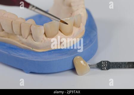 Nahaufnahme von Malarbeiten an künstlichen Gebiss mit einem Pinsel in einem Zahnlabor Stockfoto