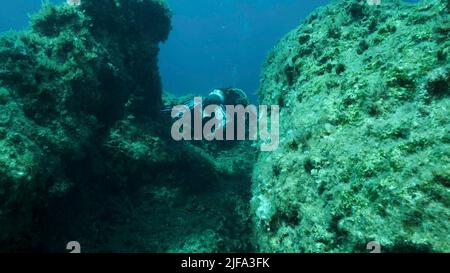 Taucher schwimmen durch einen Riss im Felsen. Riss im Meeresboden über tektonischen Platten. Die Tiktanische Verschiebung der Platten am Meeresgrund. Stockfoto