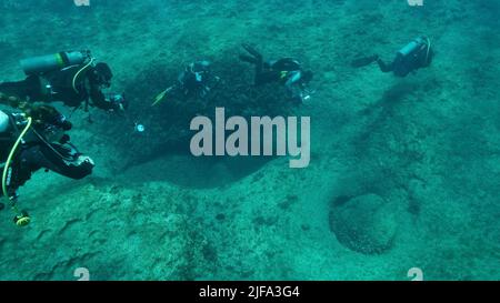 Eine Gruppe von Tauchern schwimmt im blauen Wasser über dem felsigen Meeresboden. Mittelmeer, Zypern Stockfoto