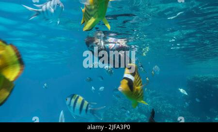 Frau in Tauchausrüstung schwimmt auf der Wasseroberfläche und schaut auf das Meeresleben. Eine Schnorchelerin schwimmt unter Wasser und schaut sich die tropische an Stockfoto