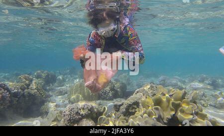 Frau in Tauchausrüstung schwimmt und sammelt Plastikmüll unter Wasser auf dem Boden des Korallenriffs. Schnorchler reinigt Ozean von Plastikverschmutzung. Stockfoto