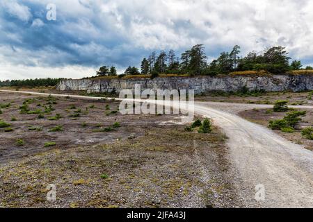 Schotterstraße führt durch verlassenen Steinbruch, Kalkstein, Filmset, Filmlocation, düstere Landschaft, Furillen Insel, Furilden Naturschutzgebiet und Vogel Stockfoto