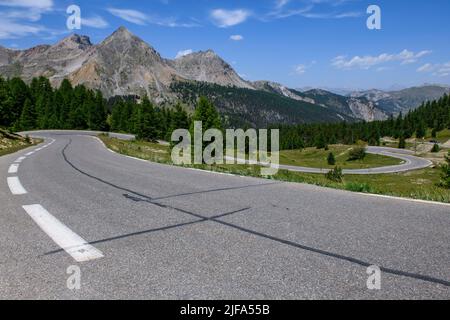 Panoramablick auf die kurvenreiche Alpenstraße Bergstraße vor dem Col de l Izoard, den Cottischen Alpen, der Route des Grandes Alpes, dem Departement Hautes-Alpes Stockfoto