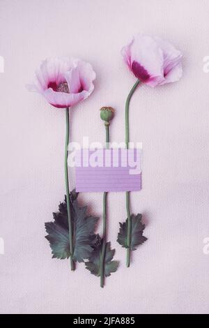 Minimalistische süße Postkarte mit einem Strauß Sommermohn. Stockfoto