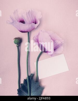 Minimalistische süße Postkarte mit einem Strauß Sommermohn. Stockfoto