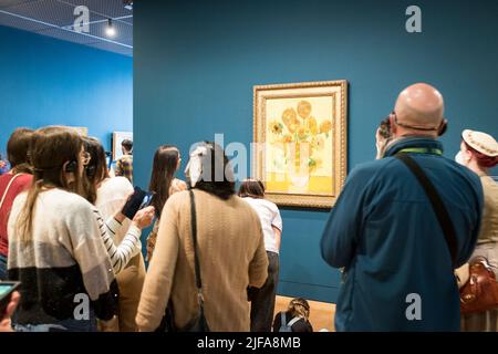 Besucher bewundern das Gemälde Sonnenblumen von Vincent Van Gogh im Van Gogh Museum in Amsterdam, Niederlande Stockfoto