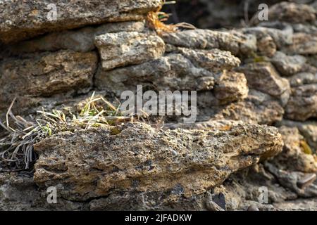 Steinstruktur, große Steine gestapelt Stockfoto