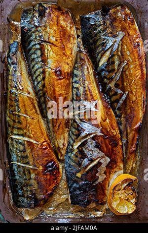 Gebackenes Makrelenfilet in Teriyaki-Sauce mit Zitrone. Gesundes Fischgericht (geräuchert), mediterrane Küche. Stockfoto