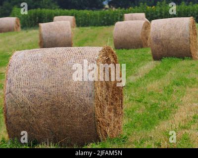 Vielfalt der Landschaft Stockfoto