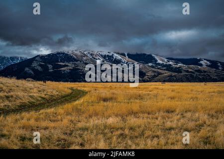 HELLE GRASFELDER MIT EINER SCHNEEBEDECKTEN BERGKETTE UND EINEM WOLKIGEN HIMMEL IN PRAY MONTANA Stockfoto