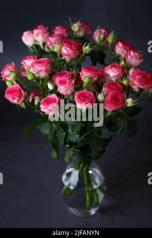 Schönes Bouquet von rosa (roten) Rosensträuchern auf schwarzem Hintergrund. Selektiver Fokus, Nahaufnahme. Stockfoto