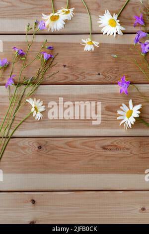 Blumen aus Bluebells und Gänseblümchen auf hellem Holzhintergrund. Layout. Herzlichen Glückwunsch. Urlaub. Geburtstag. Ein flacher Kopierbereich mit Draufsicht. Version Stockfoto