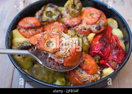 Griechische Sommerkost, Gemista. Gefüllte Tomaten und Paprika mit Reis, Zwiebeln, Hackfleisch, im Ofen gekocht. Leckere und leichte Speisen. Stockfoto