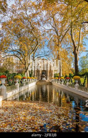 Frankreich, Paris, Jardin du Luxembourg, der Medici-Brunnen im Herbst Stockfoto