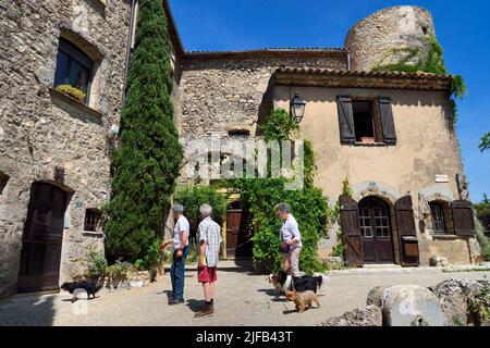 Frankreich, Var, die Dracenie, Dorf de Tourtour, beschriftet Les Plus Beaux Villages de France (die schönsten Dörfer Frankreichs), alte Burg namens Laval Burg aus dem 12.. Jahrhundert in eine Wohnung umgewandelt Stockfoto