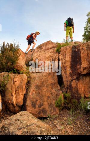 Frankreich, Var, zwischen Bagnols en Foret und Roquebrune sur Argens, Wanderung in den Gorges du Blavet Stockfoto