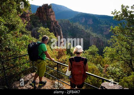 Frankreich, Var, zwischen Bagnols en Foret und Roquebrune sur Argens, Wanderung in den Gorges du Blavet Stockfoto