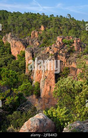 Frankreich, Var, zwischen Bagnols en Foret und Roquebrune sur Argens, die Gorges du Blavet Stockfoto