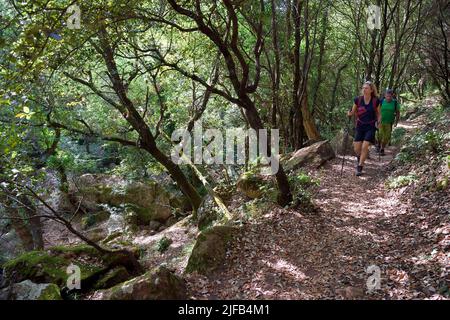 Frankreich, Var, zwischen Bagnols en Foret und Roquebrune sur Argens, Wanderung in den Gorges du Blavet Stockfoto