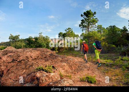 Frankreich, Var, zwischen Bagnols en Foret und Roquebrune sur Argens, Wanderung in den Gorges du Blavet Stockfoto