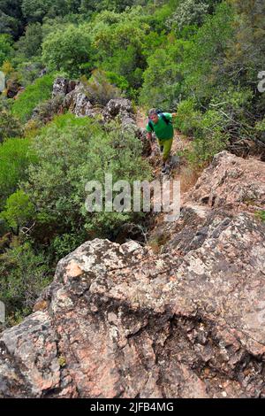 Frankreich, Var, zwischen Bagnols en Foret und Roquebrune sur Argens, Wanderung in den Gorges du Blavet Stockfoto