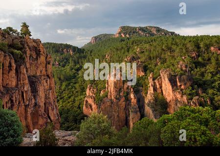 Frankreich, Var, zwischen Bagnols en Foret und Roquebrune sur Argens, die Gorges du Blavet Stockfoto