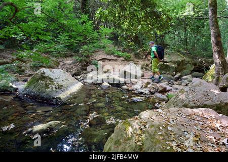 Frankreich, Var, zwischen Bagnols en Foret und Roquebrune sur Argens, Wanderung in den Gorges du Blavet, Überquerung des Flusses Blavet Stockfoto