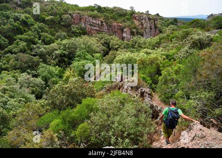 Frankreich, Var, zwischen Bagnols en Foret und Roquebrune sur Argens, Wanderung in den Gorges du Blavet Stockfoto