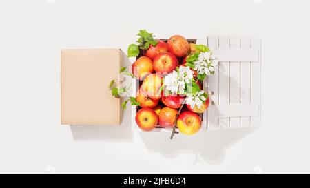 Promotion, Mockup von natürlichem Apfelsaft. Äpfel der Saison auf dem Bauernhof in einer Holzkiste mit Blütenzweig und Saftkarton auf weißem Hintergrund. Orgel Stockfoto