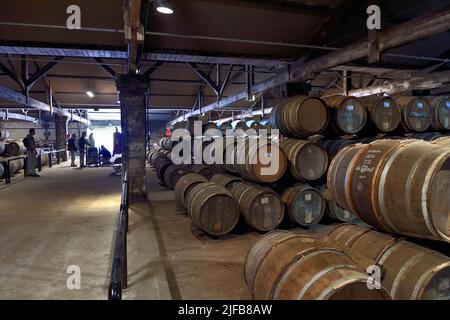 Frankreich, Charente, Cognac, Fässer, die in den Hennessy Cognac House Alterungskellern gelagert werden Stockfoto
