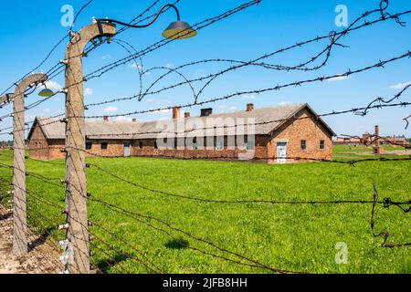 Polen, Schlesien, Oswiecim, von der UNESCO zum Weltkulturerbe erklärt, Vernichtungslager Birkenau (Auschwitz II), Ruinen von Kasernen Stockfoto