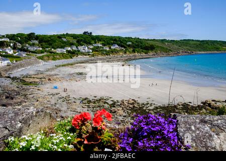 Ebbe bei Coverack auf der Lizard Peninsula cornwall UK Stockfoto