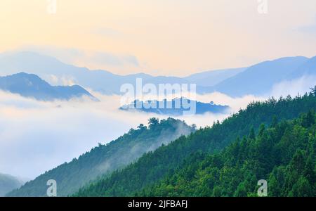 Starker Nebel und Nebel umgeben bewaldete Berggipfel in der Morgendämmerung Stockfoto